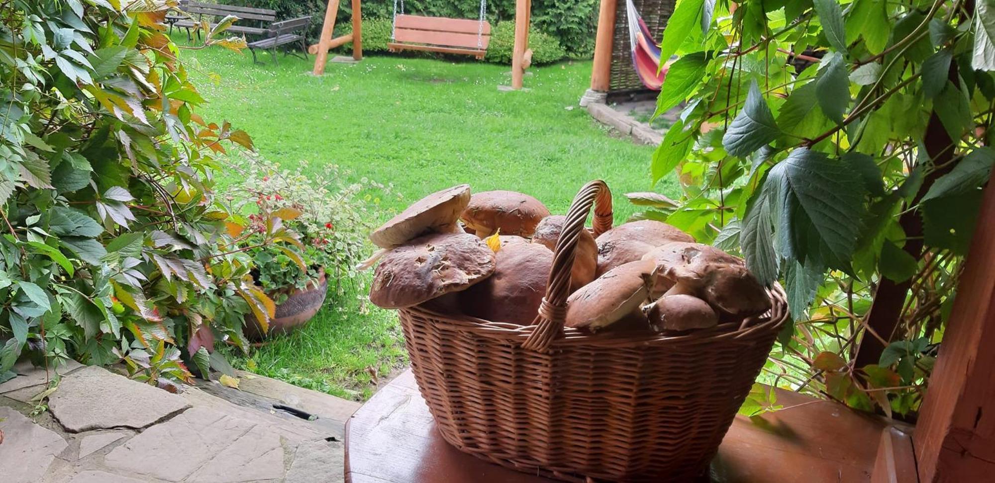 Ferienwohnung Pegazowa Wola Cisna Exterior foto
