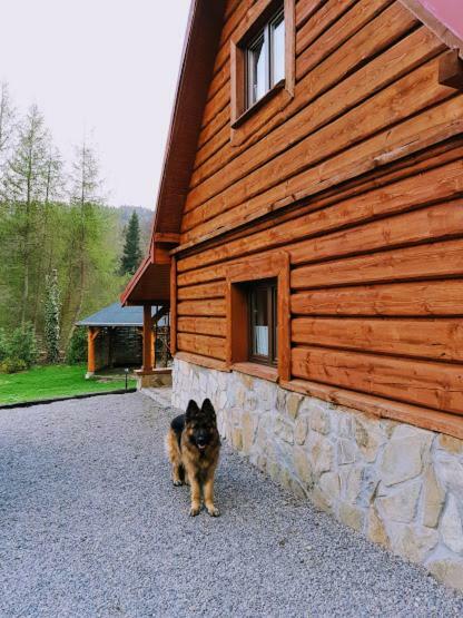Ferienwohnung Pegazowa Wola Cisna Exterior foto